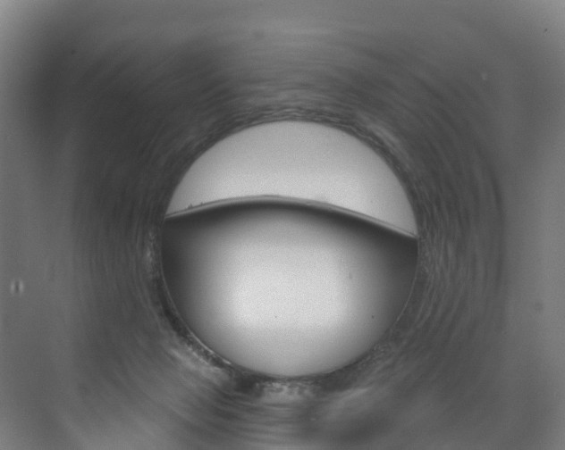 X0000073400077200607280946