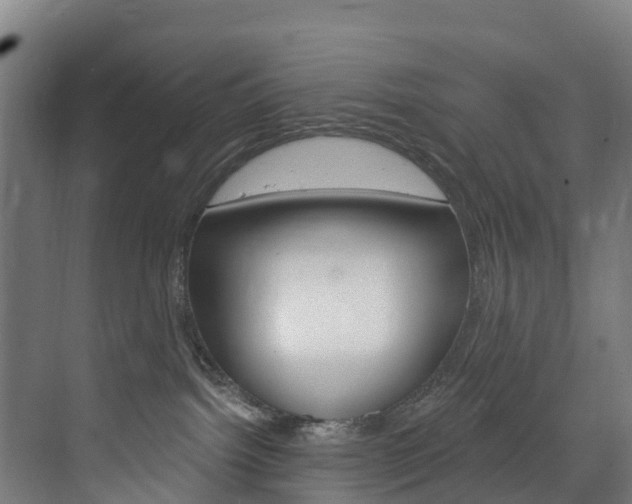 X0000073400092200607280946