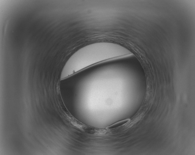 X0000073400096200607280946