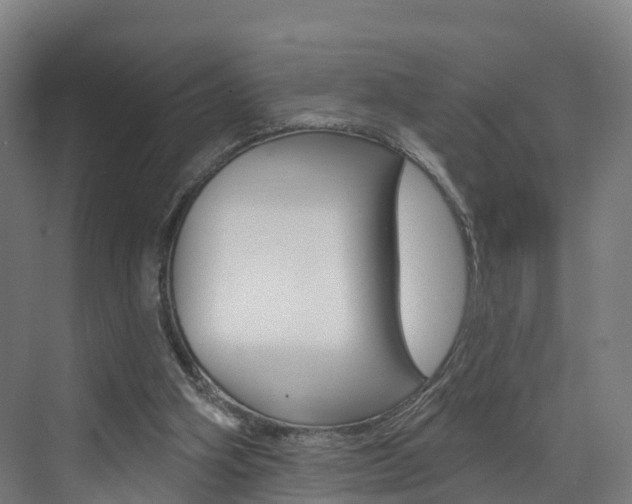 X0000073400106200607280945