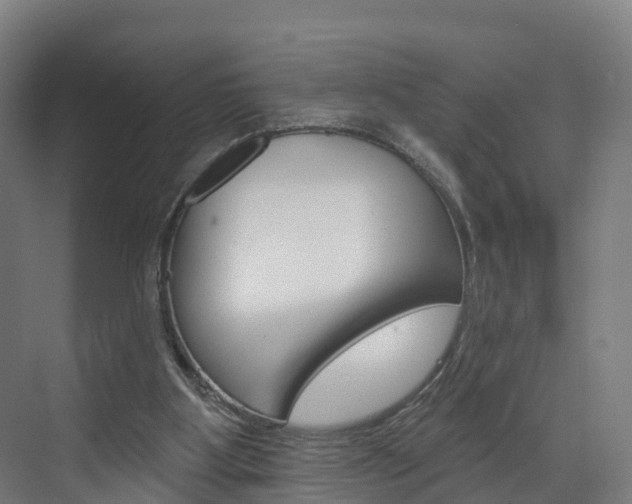 X0000073400107200607280945