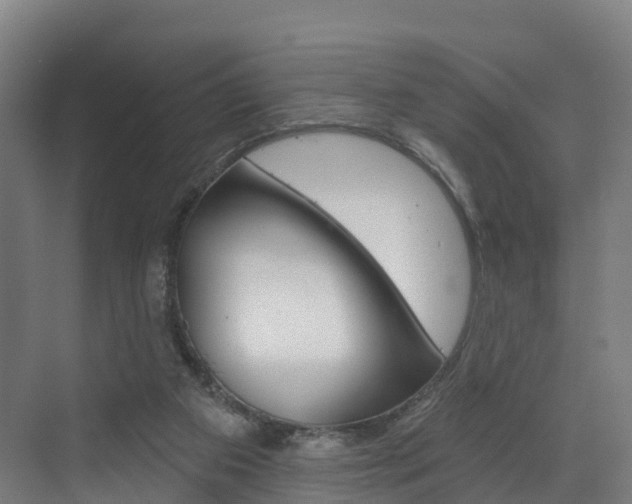 X0000073400113200607280945