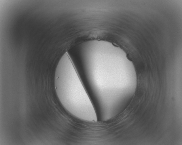 X0000073400127200607280945