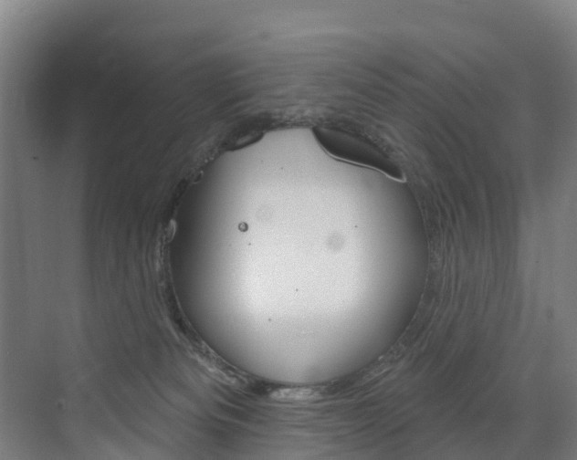 X0000073400133200607280944