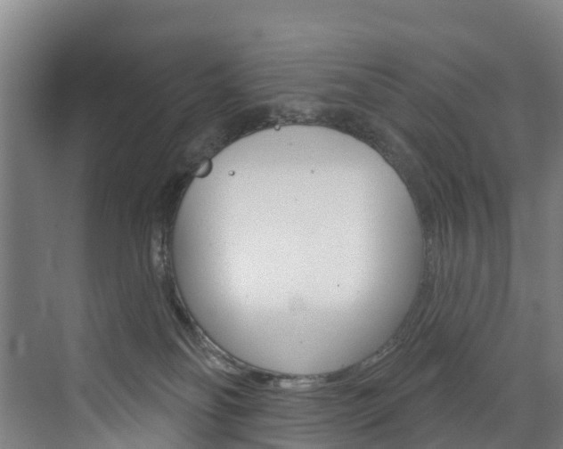 X0000073400134200607280944