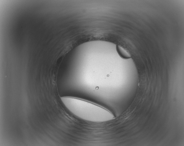 X0000073400135200607280944