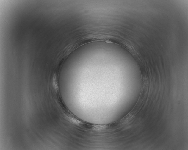 X0000073400143200607280944