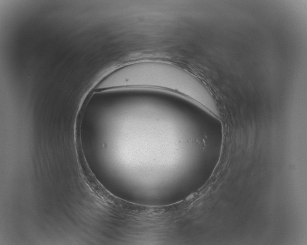 X0000073400148200607280944