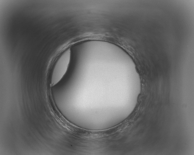 X0000073400149200607280944
