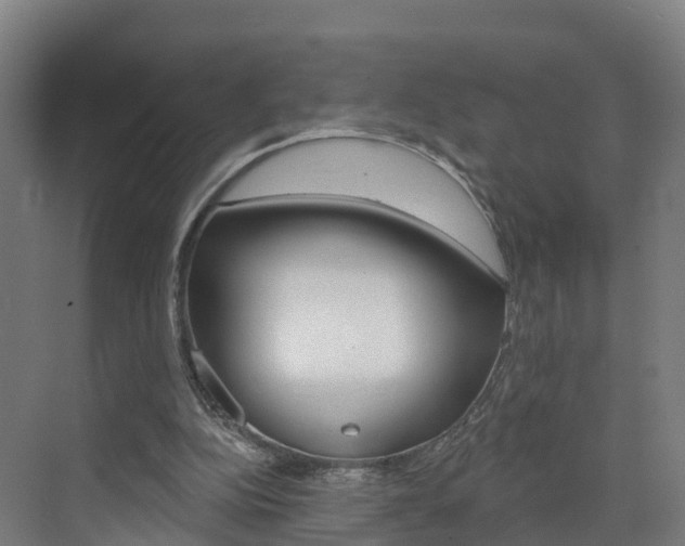 X0000073400152200607280944