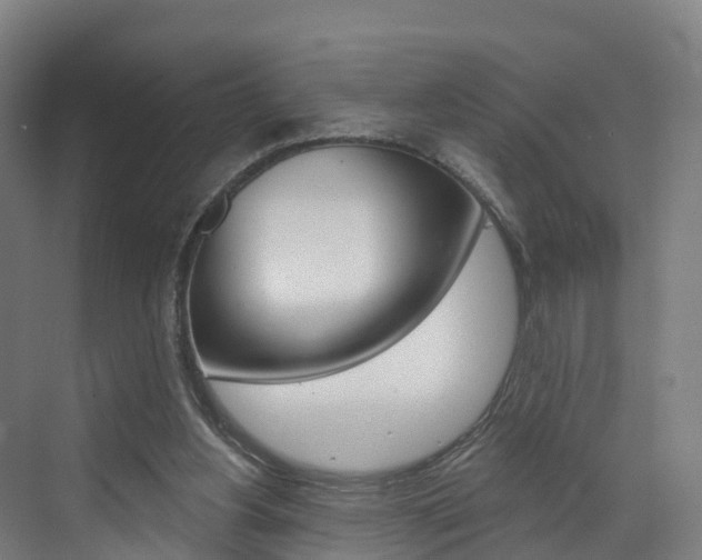 X0000073400156200607280944