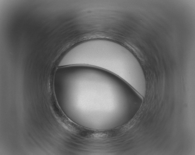 X0000073400158200607280944