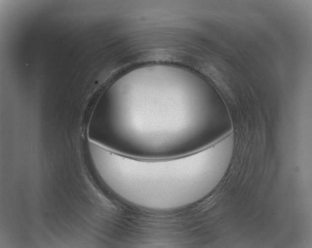 X0000073400160200607280944