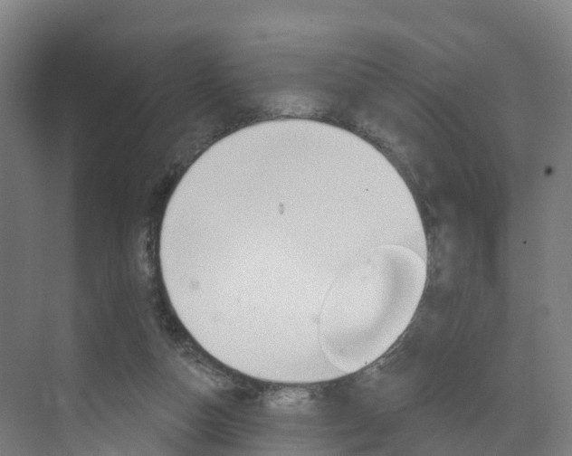 X0000073400162200607280944