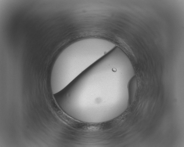 X0000073400163200607280944