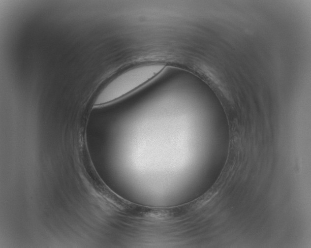 X0000073400164200607280944