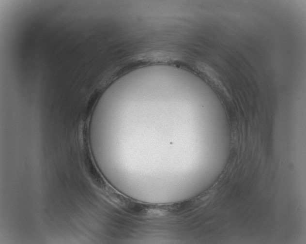 X0000073400167200607280944