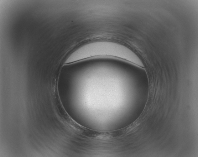 X0000073400168200607280944