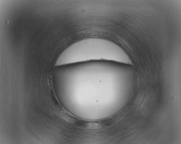 X0000073400169200607280944