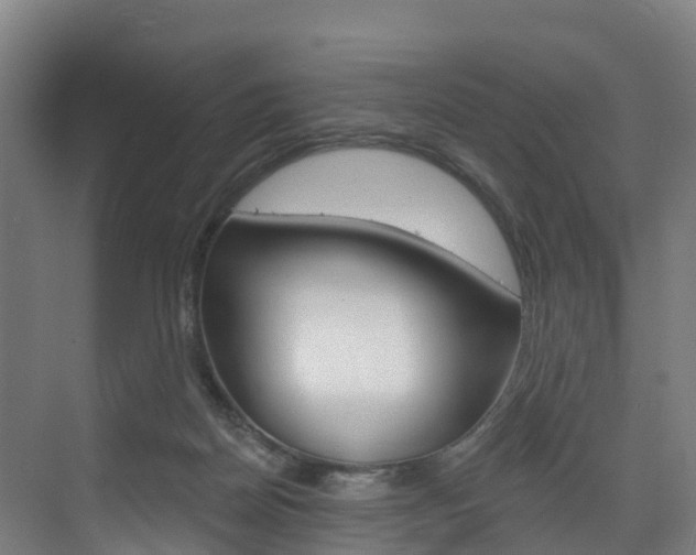 X0000073400170200607280944