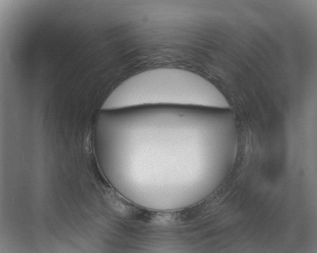 X0000073400177200607280944