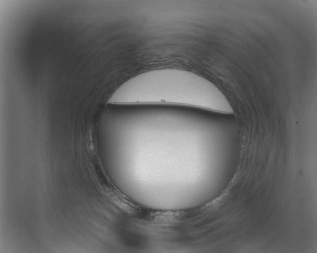 X0000073400182200607280944