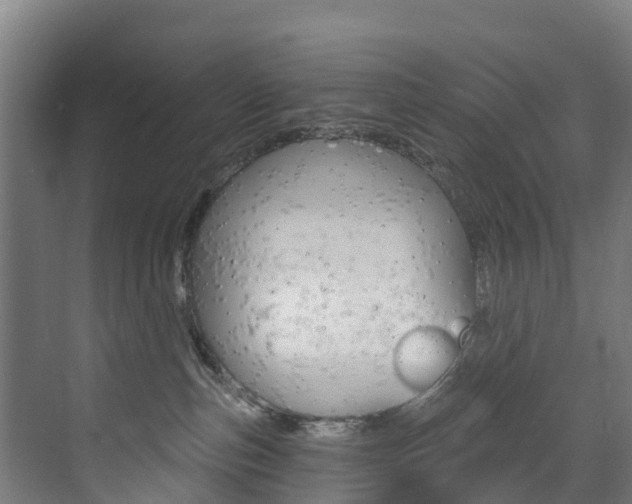 X0000073400187200607280944