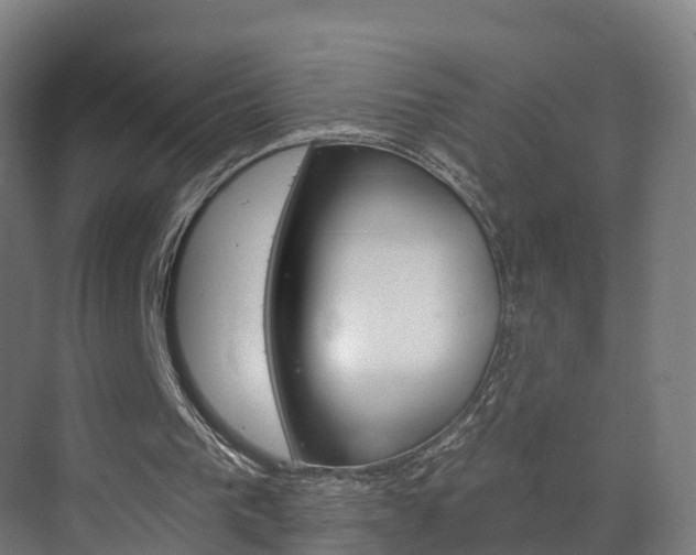 X0000073400193200607280943