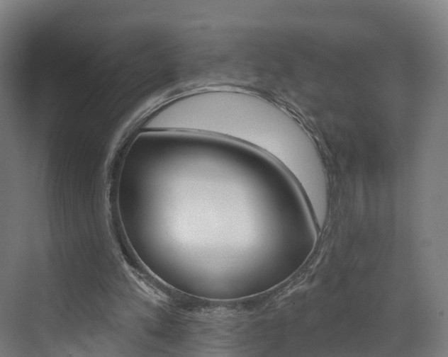 X0000073400197200607280943