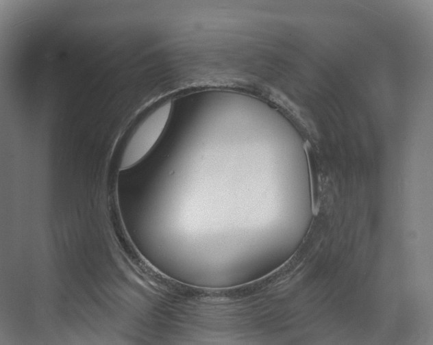 X0000073400203200607280943