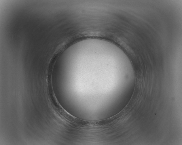 X0000073400207200607280943