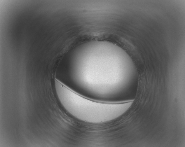 X0000073400225200607280943