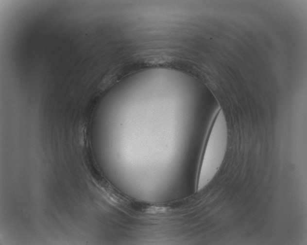 X0000073400227200607280943