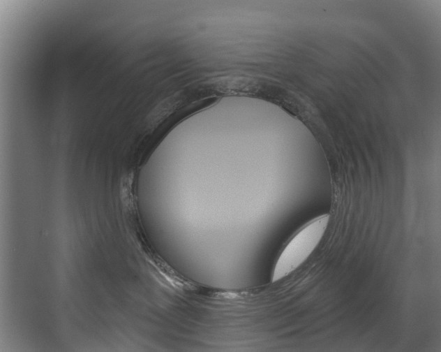 X0000073400239200607280943