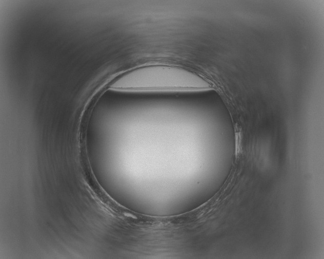 X0000073400243200607280942
