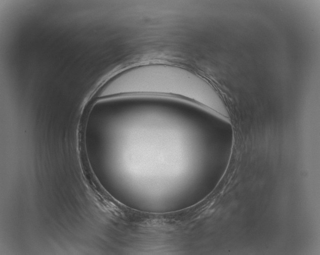 X0000073400244200607280942