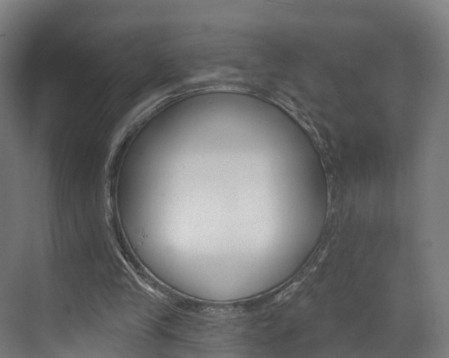 X0000073400245200607280942