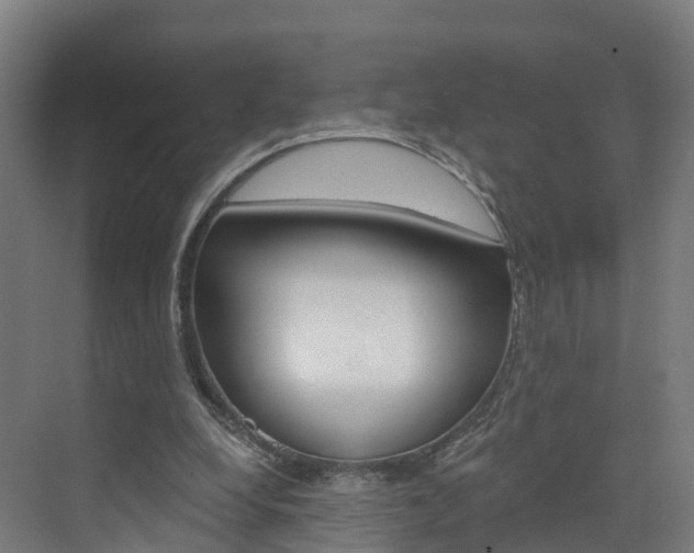 X0000073400248200607280942