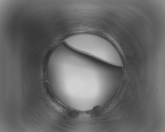 X0000073400257200607280942