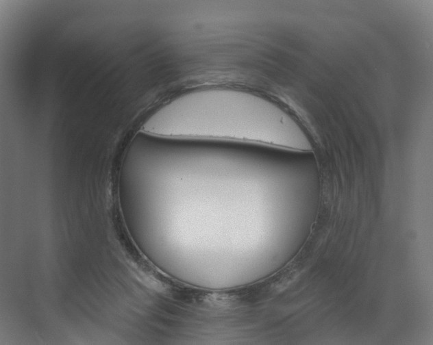 X0000073400261200607280942