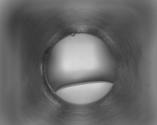 X0000073400262200607280942