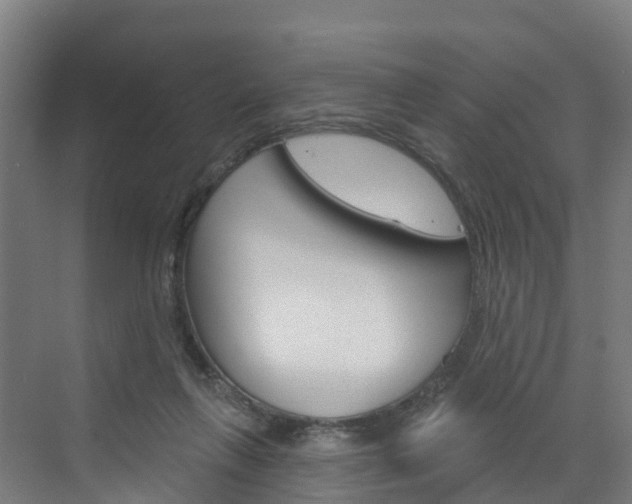 X0000073400263200607280942