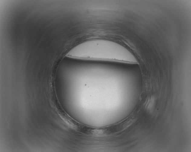 X0000073400265200607280942