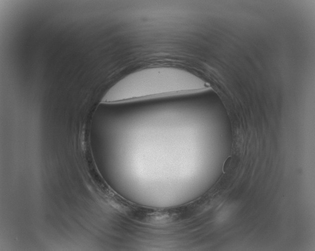 X0000073400267200607280942