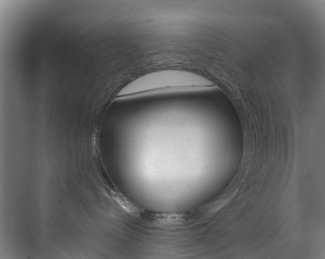 X0000073400288200607280943