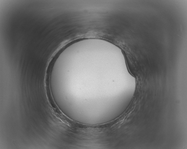 X0000073400292200607280942