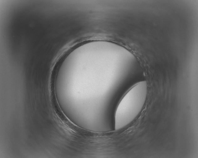 X0000073400296200607280942