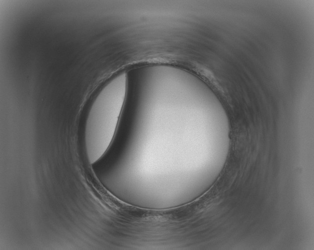 X0000073400299200607280942
