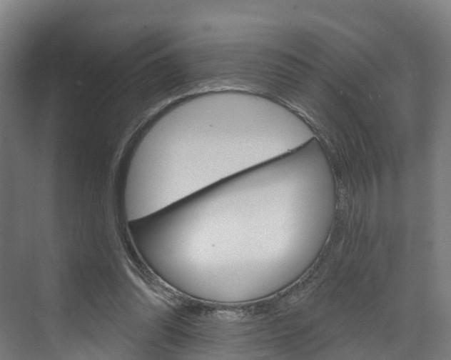 X0000073400302200607280942