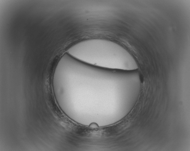 X0000073400306200607280942